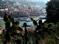 Nice : le port