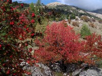 Parc National du Mercantour